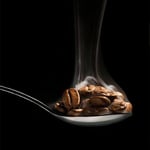 coffee facts 5