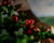 image category the art of production